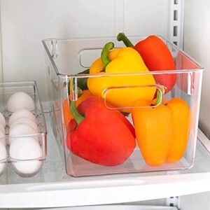 Homeries Pantry Organizer And Storage bins, Clear Cabinet Organizers And Storage for Kitchen, Pantry, Cabinets, Countertops, for Storing Packets, Spices, Sauce, Snacks, Cans, (Fruits Organizer)