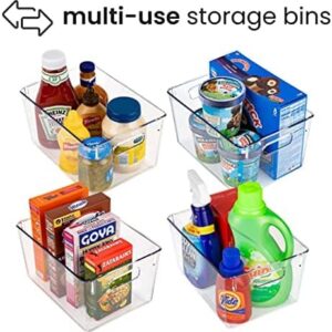 Homeries Pantry Organizer And Storage bins, Clear Cabinet Organizers And Storage for Kitchen, Pantry, Cabinets, Countertops, for Storing Packets, Spices, Sauce, Snacks, Cans, (Fruits Organizer)