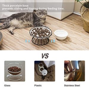 Elevated Slow Feeder Bowl for Cats and Small Dogs with Stand and Water Bowl, Ceramic Raised Cat Puzzle Food Plate, Healthy Eating Anti Vomiting Pet Feeding Dish, Against Bloat, Indigestion, White