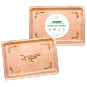greeneat disposable eco-friendly compostable plates set for birthdays events party, sturdy & heavy duty (xxl)