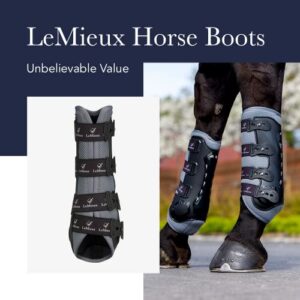 LeMieux Ultra Mesh Snug Support Horse Boots - Protective Gear and Training Equipment - Equine Boots, Wraps & Accessories (Black/Front Medium)