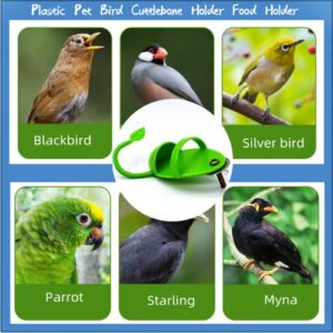 2pcs Bird Feeding Cup Rack Plastic Cuttlebone Holder,Bird Food Holder, Plastic Food Fruit Feeding Perch Stand Holder for Pet Bird Supplies Fruit Vegetable Storage Stands