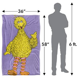 Sesame Street Big Bird Painted Officially Licensed Silky Touch Super Soft Throw Blanket 36" x 58"