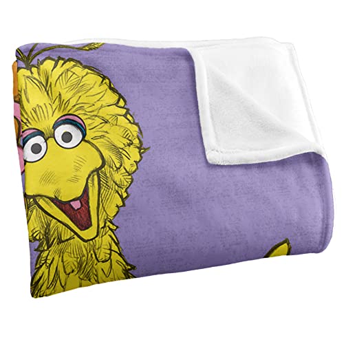 Sesame Street Big Bird Painted Officially Licensed Silky Touch Super Soft Throw Blanket 36" x 58"