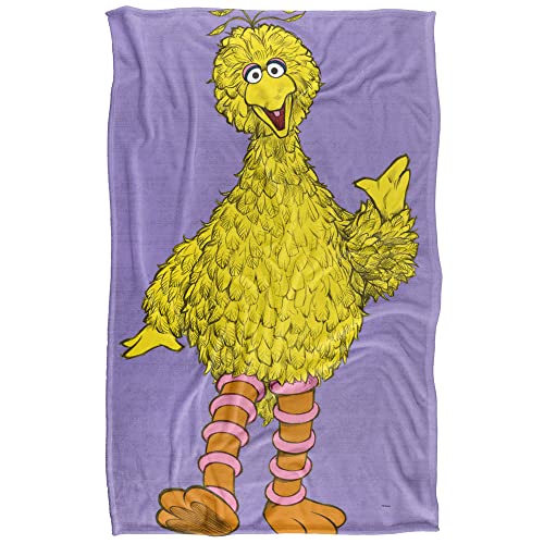 Sesame Street Big Bird Painted Officially Licensed Silky Touch Super Soft Throw Blanket 36" x 58"