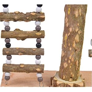 MKubwaa Bird Playstand Platform for Cockatiels, Parrots Playground Stand Perches, Outside Birdcage Playpen Stand with Swing and Ladder, Natural Wood Tabletop Exercise Playgym for Parakeets, Cockatoo