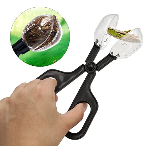 Junniu 3PCS Terrarium Tank Reptile Accessories, Stainless Steel Feeding Tongs Long Handle Tweezers Bug Feeding Clamp Cricket Tongs for Bearded Dragon Leopard Gecko Toad Turtle Spider