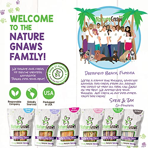 Nature Gnaws Tendons for Large Dogs - Premium Natural Beef Dental Sticks - Long Lasting Tasty Dog Chew Treats for Aggressive Chewers - Rawhide Free