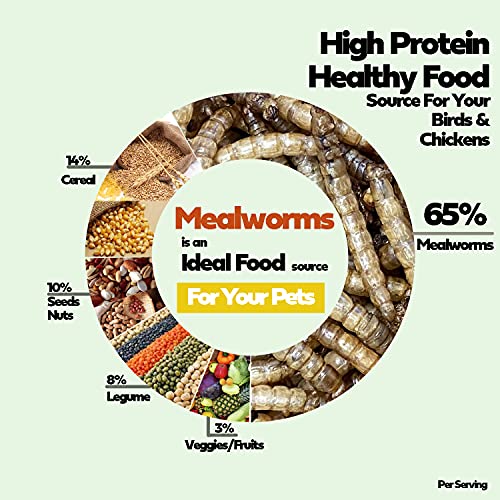 LIWII Dried Mealworms 2 LBS-100% Natural Non GMO High Protein Mealworms for Chicken-Bulk Mealworms for Wild Birds, Chicken Treats, Hamster Food, Gecko Food, Turtle Food, Lizard Food