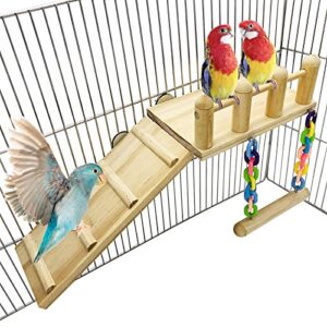 bird wooden play gyms stands with climbing ladder and acrylic wood swing for green cheeks, lovebirds, finches, conures, cockatiels, parakeets, bird perches cage play chewing toys