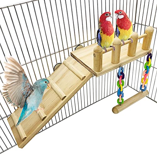 Bird Wooden Play Gyms Stands with Climbing Ladder and Acrylic Wood Swing for Green Cheeks, Lovebirds, Finches, Conures, Cockatiels, Parakeets, Bird Perches Cage Play Chewing Toys