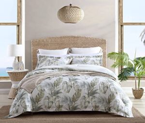 tommy bahama - queen comforter set, reversible cotton bedding with matching shams, medium weight home decor for all seasons (waimea bay green, queen)