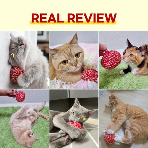 JAYU PET Red Cat Ball - Catnip Inside Cat Toy, Handmade Silvervine Ball Toys for Indoor Cats, Interactive Matatabi Cat Ball Toy, Cat Kitten Toys, Cat Balls (2.7 inch)