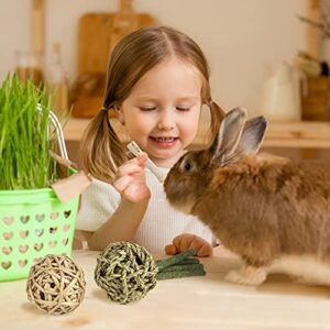 Sofier Rabbit Toys Bunny Toys Guinea Pig Toys Natural Timothy Hay Sticks Hamster Toys for Teeth Handmade Rabbit Chews and Treats Apple Wood Sticks Chinchilla Rat