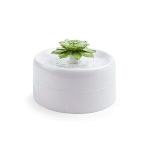 everyyay get fresh succulent water fountain for pets, 50 fl. oz.