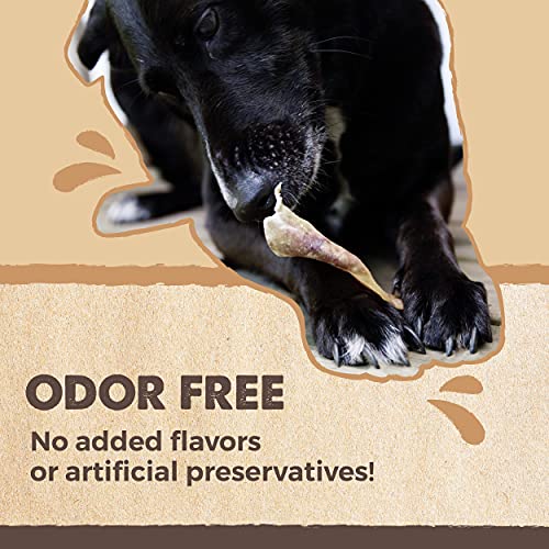 Mighty Paw Half Pig Ears for Dogs | All Natural Dog Treats. Single Ingredient Pig Ear Dog Treats. Better Than Rawhide Dog Snacks for Puppy and Large/Medium Dogs. Pigs Ears Dog Chews, Dog Pig Ears