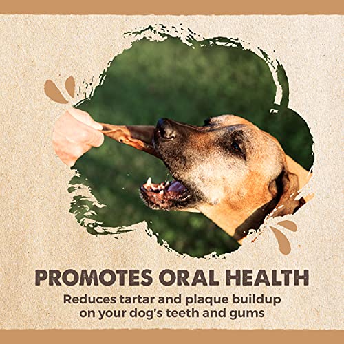 Mighty Paw Half Pig Ears for Dogs | All Natural Dog Treats. Single Ingredient Pig Ear Dog Treats. Better Than Rawhide Dog Snacks for Puppy and Large/Medium Dogs. Pigs Ears Dog Chews, Dog Pig Ears