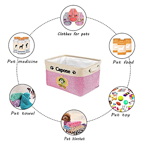 Custom Name Collapsible Dog Toy Storage Basket Bin World's Best Dog Phalene Papillon Dog Foldable Pet Toy Box Closet Shelf Baskets Organizer for Bedroom Home Dog Cat with Handles Brown