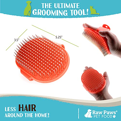 Raw Paws Pet Hand-Held Rubber Tipped Pin Brush for Dogs & Cats - Grooming Brush for Dogs Shedding - Dog Brushes for Grooming Large Dogs & Small Dogs - Bath Brush for Dogs with Short Hair & Long Hair