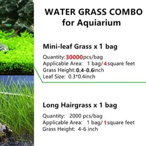 Live Aquarium Plant Seeds Combo,Fresh Water Grass Plants Mini Leaf & Longhair Grass Small Pearl for Fish Tank Terrarium Aquatic Dwarf Carpet Decor Decoration 6 aab (1M1L)