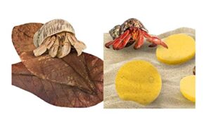 sungrow saver bundle pack - (10 pcs) hermit crab leaves + (3 pcs) hermit crab sponges