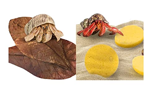 SunGrow Saver Bundle Pack - (10 pcs) Hermit Crab Leaves + (3 pcs) Hermit Crab Sponges