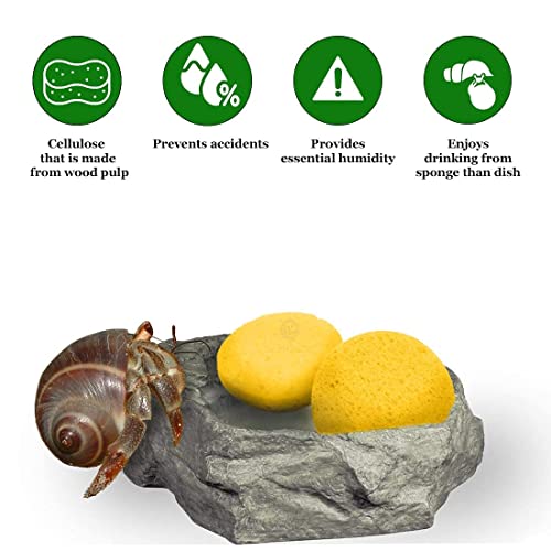 SunGrow Saver Bundle Pack - (10 pcs) Hermit Crab Leaves + (3 pcs) Hermit Crab Sponges