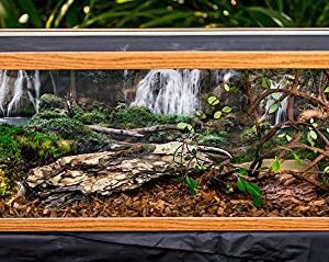 DBDPet Galapagos Tropicoco Natural Coconut Husk Bedding Substrate Brown 8qt - Includes Attached Pro-Tip Guide