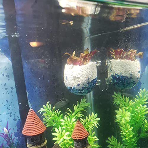 Bilindasly 1PCS Crystal Glass Aquatic Plant Cup Pot Holder, Aquatic Planter Aquarium Tank Live Plant Pot Red Shrimp Holder with Suction Cups for Fish Tank Aquarium Decor