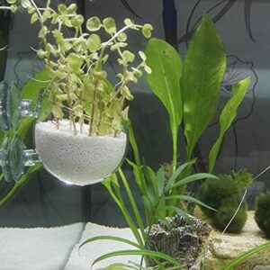 Bilindasly 1PCS Crystal Glass Aquatic Plant Cup Pot Holder, Aquatic Planter Aquarium Tank Live Plant Pot Red Shrimp Holder with Suction Cups for Fish Tank Aquarium Decor