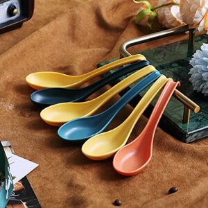 Evanda Soup Spoon, ECO Friendly Dinner Spoon,Made of Food Grade PP, BPA Free,Easy Clean,Dishwasher Safe Set of 12(Mix Color)