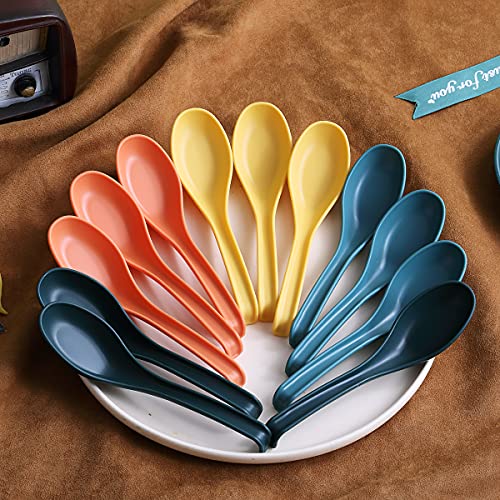 Evanda Soup Spoon, ECO Friendly Dinner Spoon,Made of Food Grade PP, BPA Free,Easy Clean,Dishwasher Safe Set of 12(Mix Color)