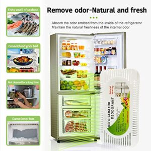 Refrigerator Deodorizer(4 pack), Fridge and Freezer Odor Eliminator, Activated Carbon Smell Remover and Moisture Absorber