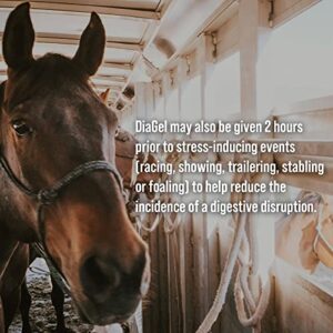 Van Beek-Natural Science DiaGel for Equine - All Natural Horse Supplement to Help Maintain Digestive Health & Function - Oral Gel to Help Control Diarrhea - Natural Horse Products