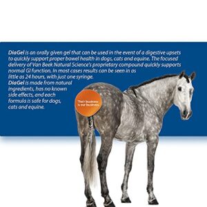 Van Beek-Natural Science DiaGel for Equine - All Natural Horse Supplement to Help Maintain Digestive Health & Function - Oral Gel to Help Control Diarrhea - Natural Horse Products