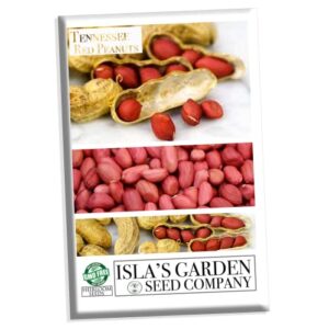 tennessee red peanut seeds for planting, 20 peanut seeds per packet, (isla's garden seeds), non gmo seeds, botanical name: arachis hypogaea, fun home garden gift