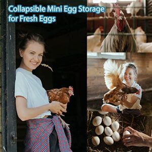 Auhafaly Egg Basket, Collapsible Mini Storage - Can Easily Load Eggs for Carrying and Collecting Eggs, Easy Washing, and Fast-drying, Country Primitive Farmhouse Style (Medium)