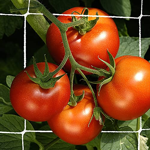 Trellis Netting, CANAGROW Heavy-Duty Garden Plant Trellis Netting for Climbing Plants, Outdoor Indoor Grow Net for Beans Tomatoes Peas Pumpkin Flowers, 6 x 15ft, 1 Pack