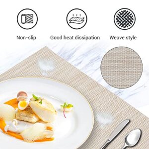 VMVN Placemats,Washable Woven Place Mats for Dining Table,Heat-Resistant PVC Table Mats Set of 6,Easy to Clean