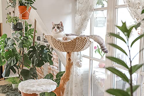 Wooden Cat Tree Tower, Modern Single Branch Cat Condo, Wood Cat Tree, Cat Climbing, Furniture for Cat, Cat Lover Gift, Cat Furniture,Cat Gift by MAU LIFESTYLE (Alpine White)