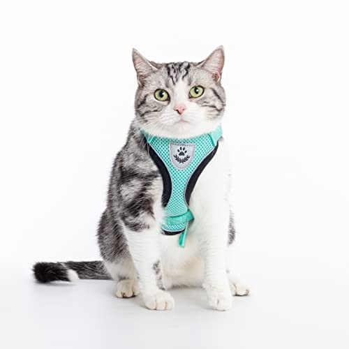 PUPTECK Cat Harness and Leash Set- Adjustable Vest Escape Proof Harness for Kitten Small Medium Cats, Retractable Breathable Soft Mesh for Outside with Reflective Strips