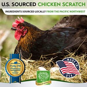 Small Pet Select Sustainable Chicken Scratch, Non-GMO, Corn Free, Soy Free. Locally Sourced & Made in Small Batches. 10 lb