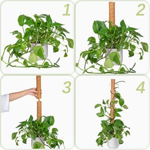Moss Pole for Plants Monstera, 52 Inch Moss Stick, Fusisi Plant Pole for Climbing Plants Coir Totem Pole - Plant Support for Indoor Potted Plants Train Creeper Plants Grow Upwards - 4 Pack