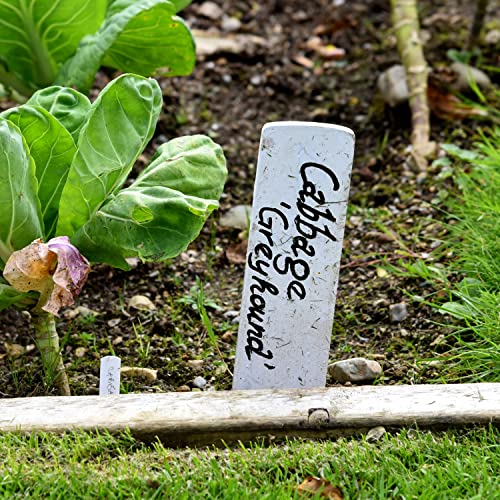 Mr. Pen- Garden Markers, Black, 4 Pack, Plant Markers, Garden Markers for Plants Outdoor Waterproof, Plant Markers for Seedlings, Waterproof Permanent Marker, Plant Markers for Outdoor Plants.