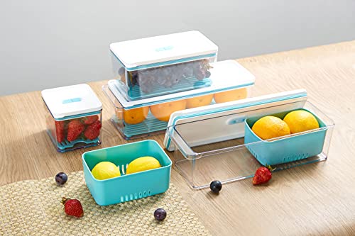 Storage Containers Fridge Organizer for Vegetable Fruit Veggie and Berry Refrigerator Organizer Bins with Lids Produce Saver 3 Packs Pink