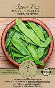 gaea's blessing seeds - snow pea seeds - dwarf sugar grey - non-gmo seeds for planting with easy to follow instructions 94% germination rate (pack of 1)