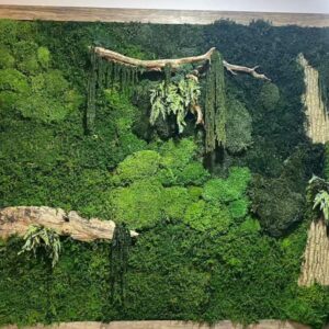 prefleur Preserved Sheet Moss Natural Green Decorative Real Natural Green DIY Kit Gardenning Art Wall Decor Florist Decor Easter Table Decor Wedding(2 sq.ft.) (Green-B)