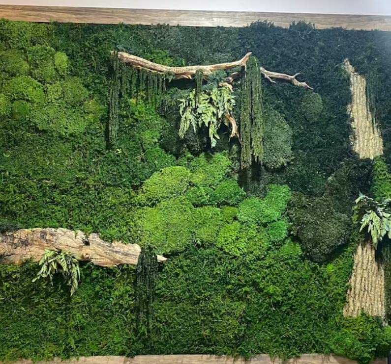 prefleur Preserved Sheet Moss Natural Green Decorative Real Natural Green DIY Kit Gardenning Art Wall Decor Florist Decor Easter Table Decor Wedding(2 sq.ft.) (Green-B)