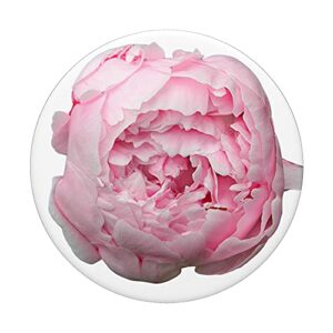 Peony PopSockets Swappable PopGrip