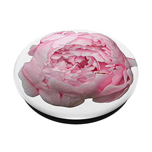 Peony PopSockets Swappable PopGrip